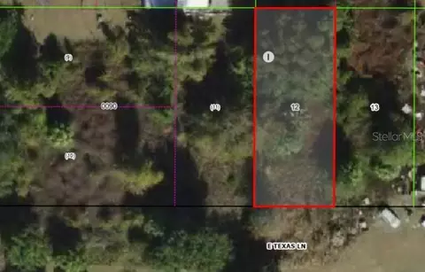 4279 E Texas Ln, Hernando, FL 34442 photo 3