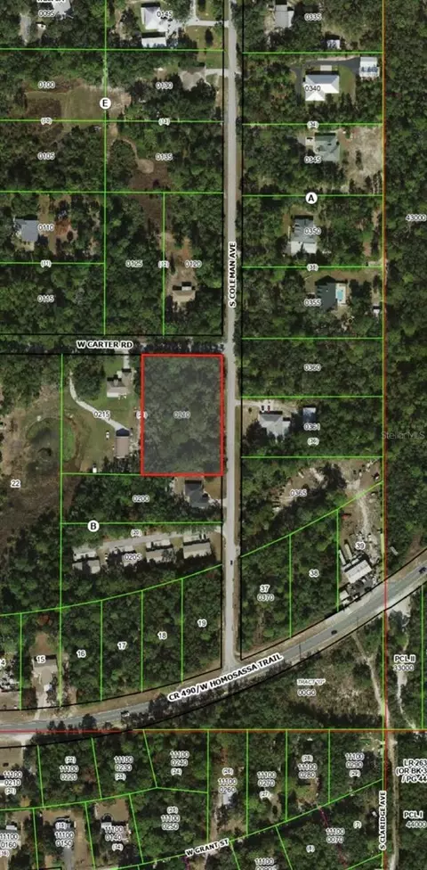 6100 W Carter Rd, Homosassa, FL 34448