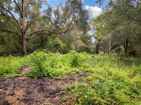 5900 NW 190th St, Reddick, FL 32686 photo 5
