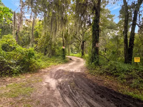 5900 NW 190th St, Reddick, FL 32686 photo 3
