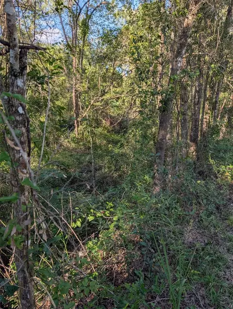 0 Archer Rd, Archer, FL 32618 photo 8