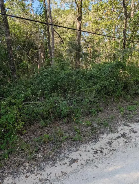 0 Archer Rd, Archer, FL 32618 photo 6