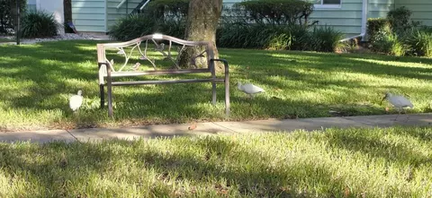 Other - 610 Midway Dr #A, Ocala, FL 34472 photo 14 of 16