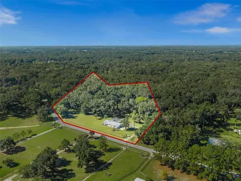 View/Area - 13680 NE 38th Ave, Anthony, FL 32617 photo 4 of 4