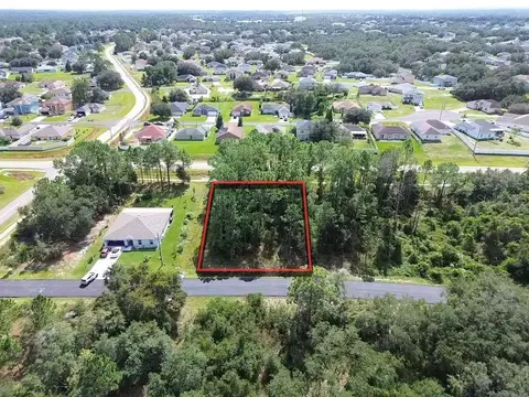 106 Warmouth Ln, Kissimmee, FL 34759