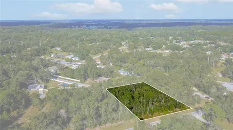 3817 E Forest Dr, Inverness, FL 34453 photo 3