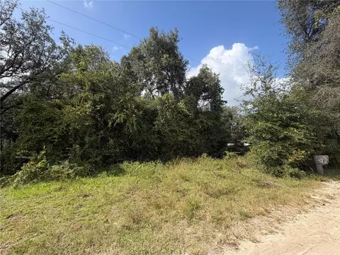 tbd NE 168 Ct, Silver Springs, FL 34488