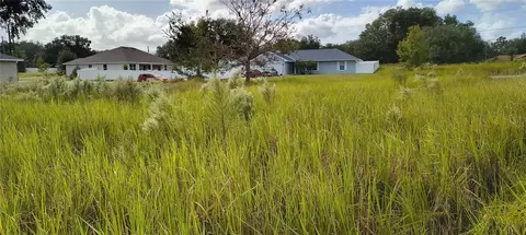 215 Locust Ln, Ocala, FL 34472 photo 8