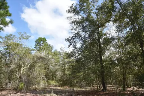 9150 SE Us Highway 301, Hawthorne, FL 32640