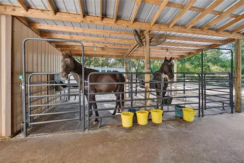 Other - 19 Northern Dancer Dr, Ocala, FL 34482 photo 8 of 9