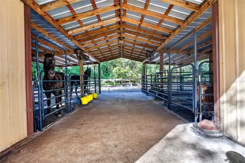 Other - 19 Northern Dancer Dr, Ocala, FL 34482 photo 7 of 9