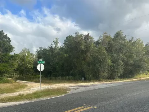 0 NE 236th St, Salt Springs, FL 32134