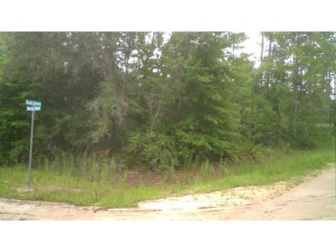165 Britt St, Interlachen, FL 32148 photo 1