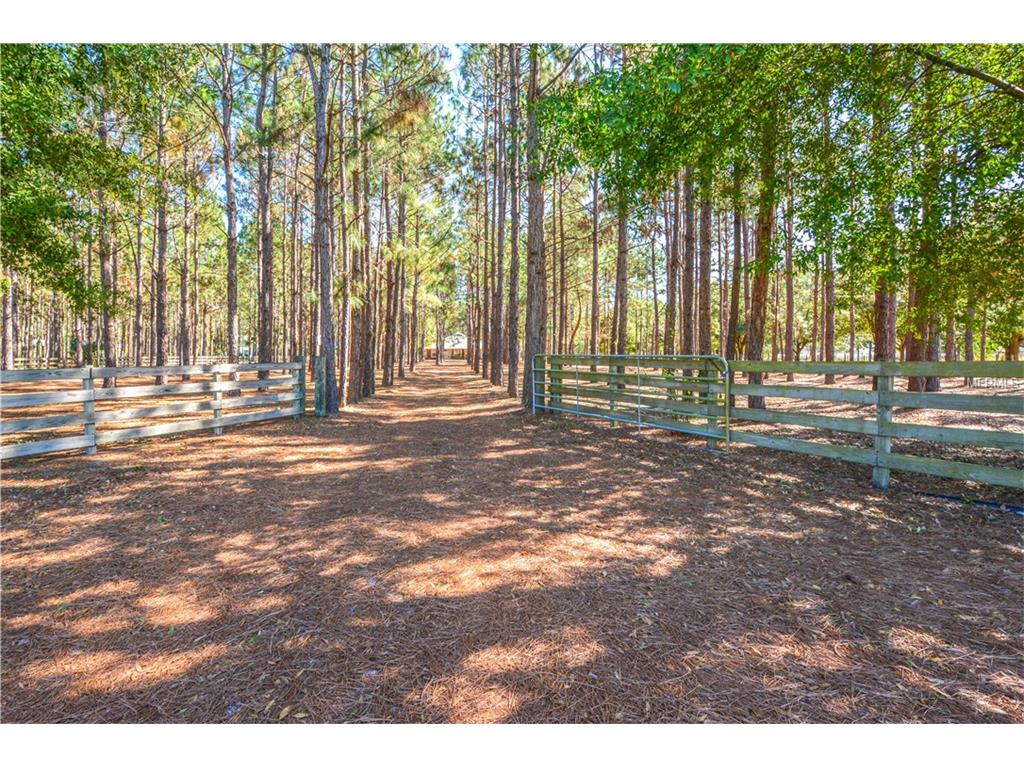 2100 Buckeye Loop Rd, Winter Haven, FL 33881 photo 1