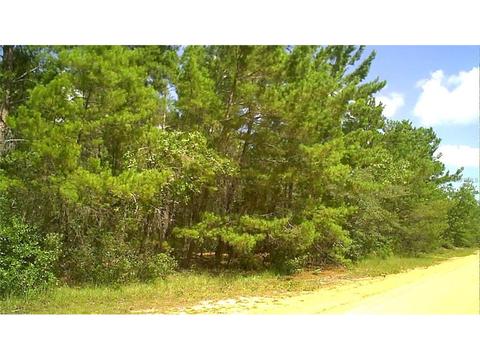 107 David Ave, Interlachen, FL 32148 photo 1