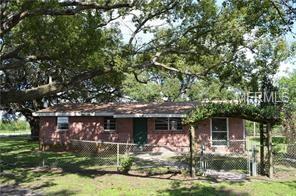 1805 Atkinson Ln, Bartow, FL 33830 photo 1