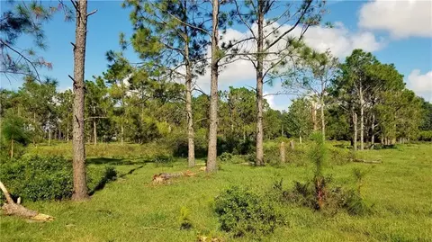 Litchfield Loop, Winter Haven, FL 33884 photo 10