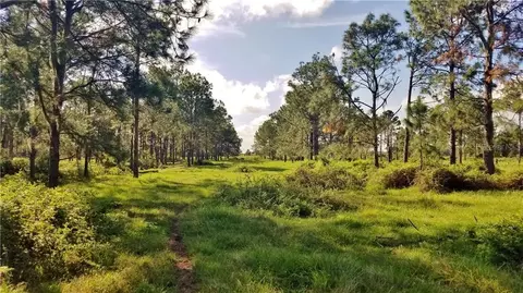 Litchfield Loop, Winter Haven, FL 33884 photo 7
