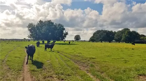 Litchfield Loop, Winter Haven, FL 33884 photo 13