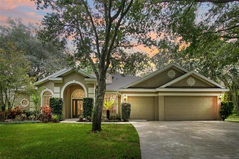 5746 Eaglemount Cir, Lithia, FL 33547 photo 1
