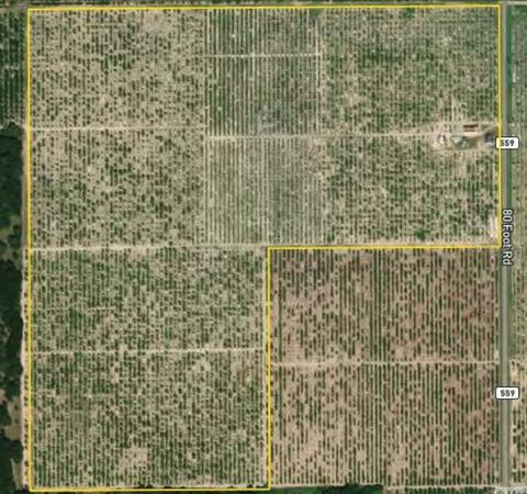 4915 80 Foot Rd, Bartow, FL 33830 photo 1