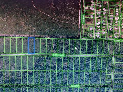 2128 Daffodil Ave, Sebring, FL 33875 photo 1