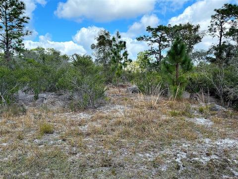 Hibiscus Drive, Indian Lake Estates, FL 33855