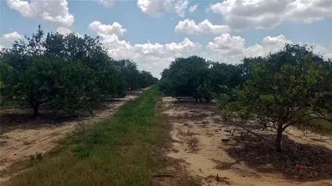 Lake Bella Road, Lake Wales, FL 33859