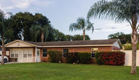 407 5th St S, Dundee, FL 33838 photo 1