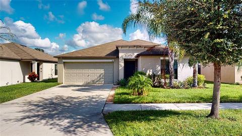 12617 Lemon Pepper Dr, Riverview, FL 33578 photo 1