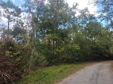Crow Trail, Kissimmee, FL 34747