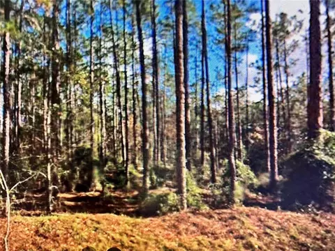 SW Barnacle Drive S, Dunnellon, FL 34431