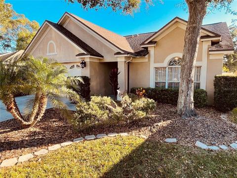 1722 Elk Spring Dr, Brandon, FL 33511 photo 1