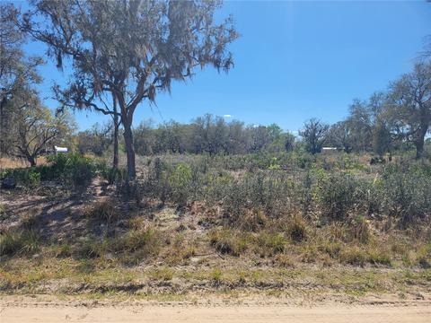 Alison Avenue, Lake Wales, FL 33859