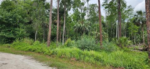 Shelley Trail, Kissimmee, FL 34747