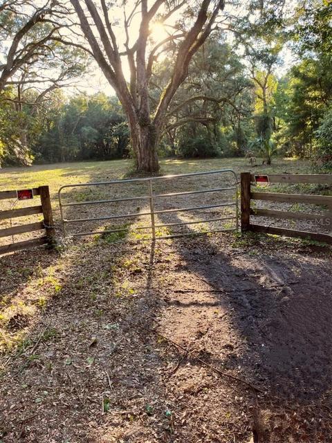 170 NE 544th St, Old Town, FL 32680