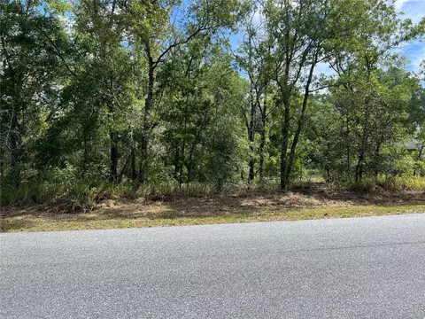 O Elm Loop, Ocala, FL 34472