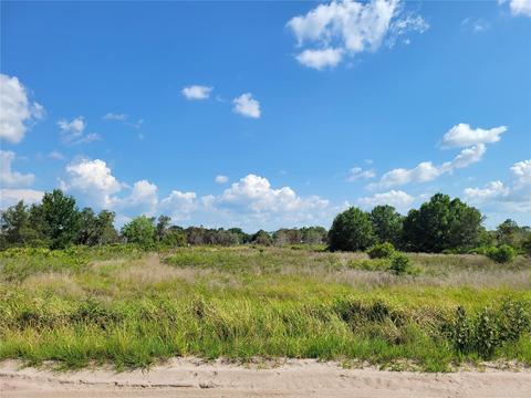 Allison Avenue, Lake Wales, FL 33859