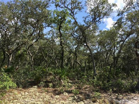 2065 Scrub Jay Trail Lot #LOT 254, Frostproof, FL 33843