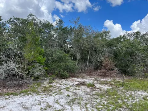 Deer Road, Frostproof, FL 33843
