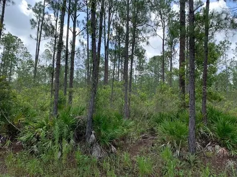 6442 Merrick Dr, Sebring, FL 33872 photo 1