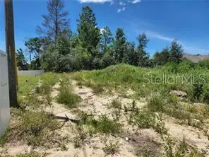 507 Rio Grande Dr, Poinciana, FL 34759