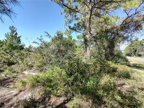 209 Islamorada St NE, Lake Placid, FL 33852