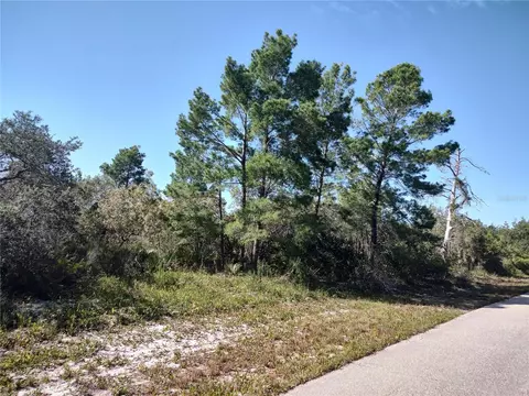 112 Pear Ave NW, Lake Placid, FL 33852