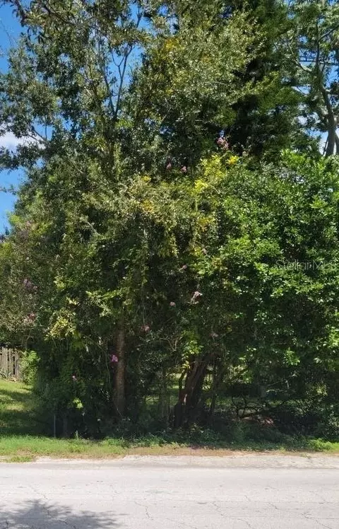 Baker Avenue E, Haines City, FL 33844