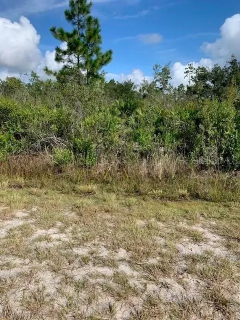 Granada Drive, Indian Lake Estates, FL 33855