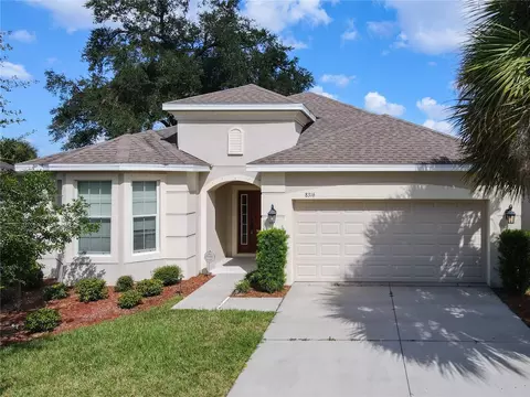 8316 Willow Beach Dr, Riverview, FL 33578