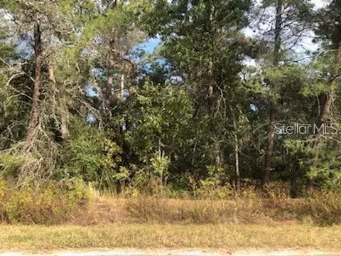 SW 89th Circle, Ocala, FL 34473