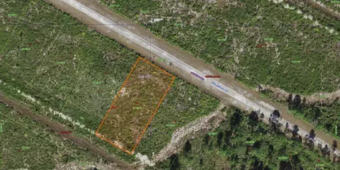 Orlando Drive, Lake Wales, FL 33898