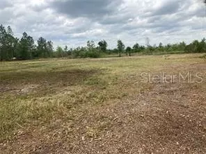 Oil Well Road, Clermont, FL 34714